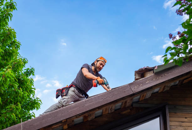 Best Storm Damage Roof Repair  in Bolindale, OH