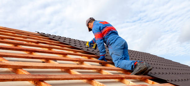 Best Skylight Installation and Repair  in Bolindale, OH